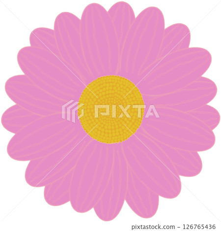 Beautiful shape and colors of pink blossom flower petals. Beautiful shape and colors of pink blossom flower petals. 126765436