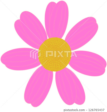 Beautiful shape and colors of pink blossom flower petals. Beautiful shape and colors of pink blossom flower petals. 126765437