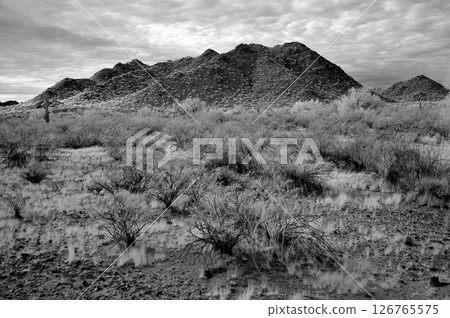 San Tan Mountains Sonora Desert Arizona Monochrome 126765575