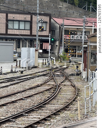 Oigawa Railway Chiken Station 126765595