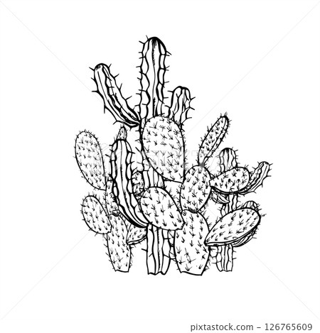 Monochrome vector composition of Mexican desert cacti painted by black inks. Prickly plant graphic sketch for southwestern style branding, eco friendly packaging, minimalist home decor, poster. 126765609