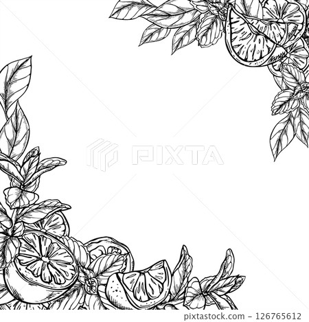 Fresh lemon slices and mint sprigs monochrome vector border painted by black inks. Template with copy space for text. Citrus fruit and melissa herbs illustration for cafe menu, summer party decor. 126765612