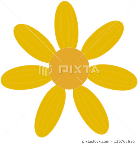Beautiful shape and colors of blossom yellow daisy flower petals.. Beautiful shape and colors of blossom yellow daisy flower petals.. 126765656
