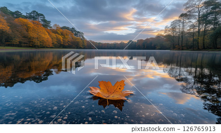 Autumn leaf floating on calm lake with colorful forest reflection 126765913