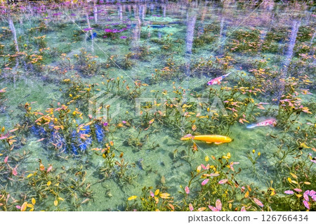 岐阜縣關市板取町的無名池塘“莫奈池塘” 岐阜縣關市板取町的無名池塘“莫奈池塘” 126766434