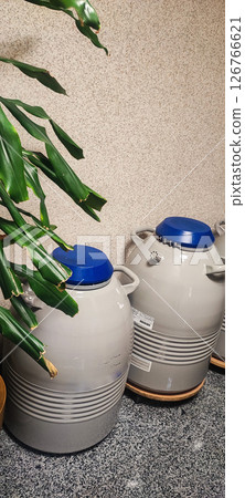 White cylinders of cryostorage with liquid nitrogen in the premises of the polyclinic. Concept of medicine and modern technologies of reproduction 126766621