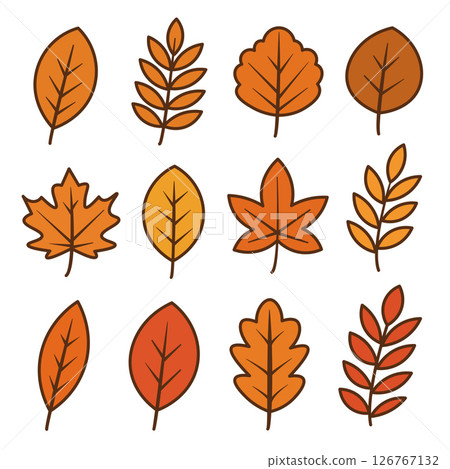 A collection of various autumn leaves in shades of orange and yellow. The leaves are illustrated with simple outlines and diverse shapes. 126767132