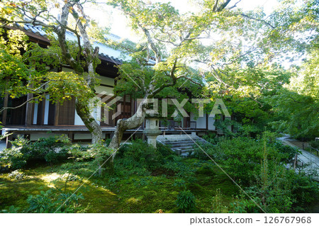 The lush grounds of Jojakkoji Temple 126767968