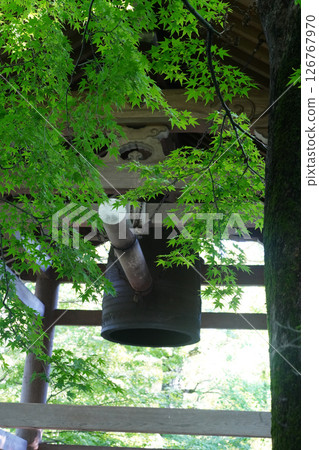 The lush grounds of Jojakkoji Temple 126767970