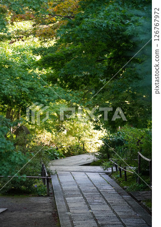 常寂光寺鬱鬱蔥蔥的庭院 126767972
