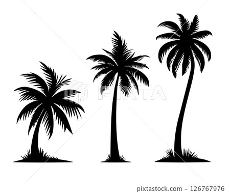 Palm tree black coconut icon. Palmetto beach black summer palm tree hawaii vector icon. 126767976