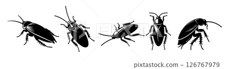 Cockroach silhouette set insect illustration. Cockroach black silhouette icon vector anatomy design 126767979