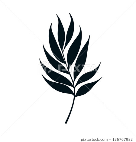 Palm summer tropical leaf silhouette icon. Jungle plant black tree foliage isolated palm exotic leaf 126767982
