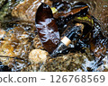 A bottle rests among leaves and branches in a moist environment, suggesting hydration. 126768569