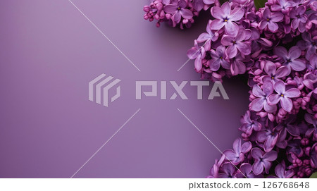 紫色背景上的淡紫色花朵框架構圖 126768648