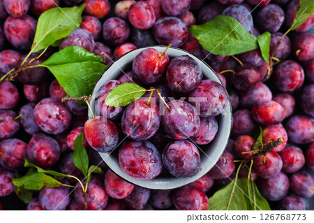 Fresh ripe autumn plums on dark background, top view 126768773