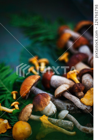 Fresh uncooked wild mushrooms on rustic green background, top view Fresh uncooked wild mushrooms on rustic green background, top view 126768798