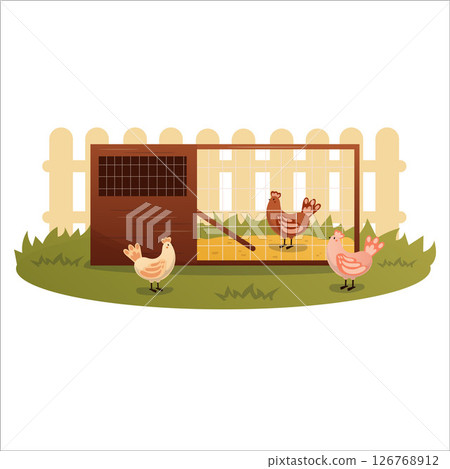 Vector illustration of a home chicken coop in the backyard 126768912