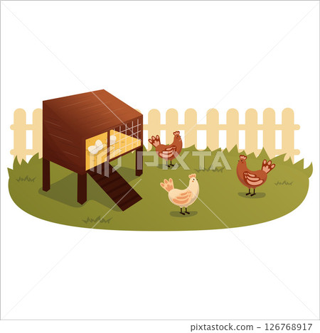 Vector illustration of a home chicken coop in the backyard Vector illustration of a home chicken coop in the backyard 126768917