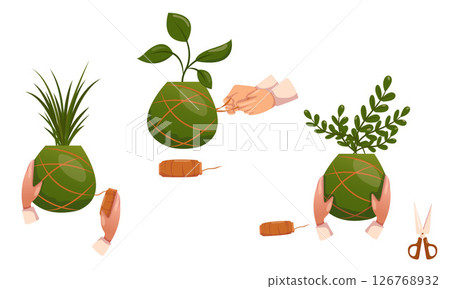 Vector illustration Japanese Kokedama. Moss ball with plant DIY Vector illustration Japanese Kokedama. Moss ball with plant DIY 126768932