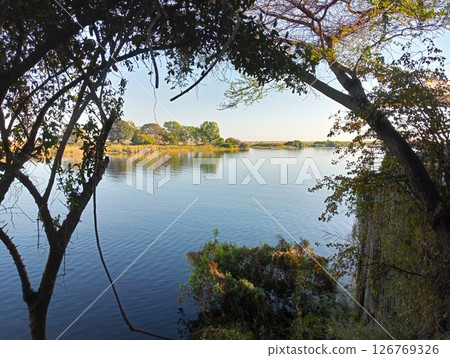 Chobe River in the morning, Chobe National Park, Botswana 4 Chobe River in the morning, Chobe National Park, Botswana 4 126769326