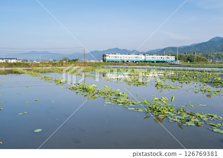 【德島線】工作日清晨開往德島站的普通列車 【德島線】工作日清晨開往德島站的普通列車 126769381