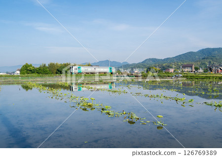 【德德線】平日清晨開往池谷站的本地列車 126769389