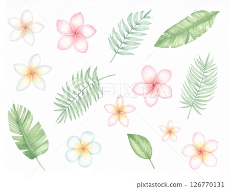 夏威夷插圖 126770131