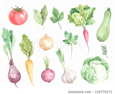 Various vegetables 126770272