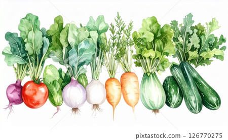 各種蔬菜 126770275