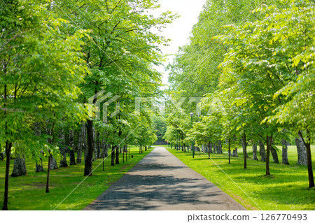Midorigaoka Park in Obihiro City 126770493