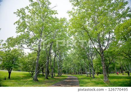 帶廣市綠丘公園 126770495