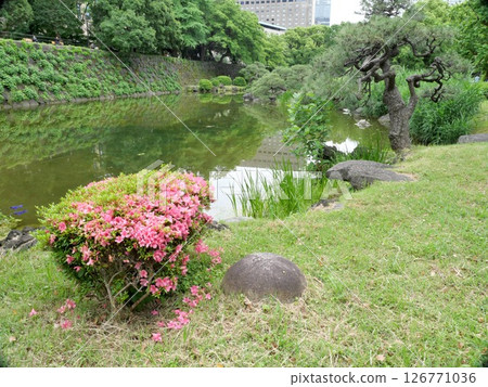 日比谷公園花園 日比谷公園花園 126771036