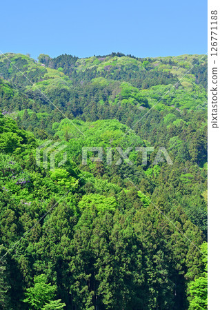 Fresh green rural scenery in Higashichichibu Village, the home of peach blossoms 126771188