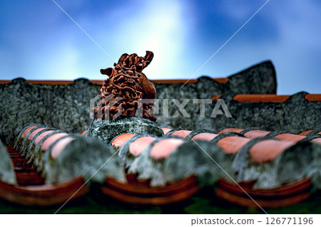 The scenery of Ishigaki Island, watched over by a shisa sitting on a red tiled roof The scenery of Ishigaki Island, watched over by a shisa sitting on a red tiled roof 126771196