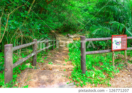 石垣島綠色森林中的海濱廣場路標 126771207