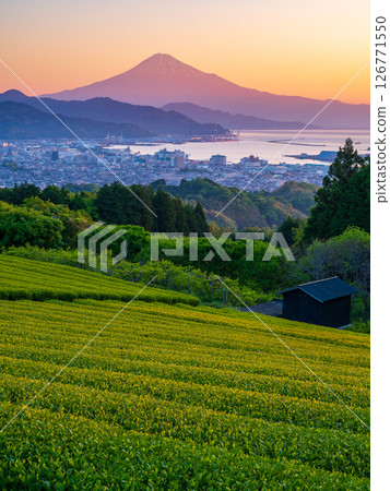Red Fuji and tea fields seen from Nihon-daira in the morning 126771550
