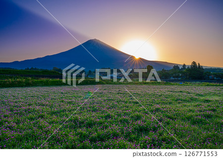 富士山和蓮花田的日出 126771553
