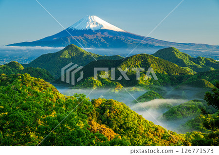 Mt. Fuji and the green mountains shrouded in mist Mt. Fuji and the green mountains shrouded in mist 126771573