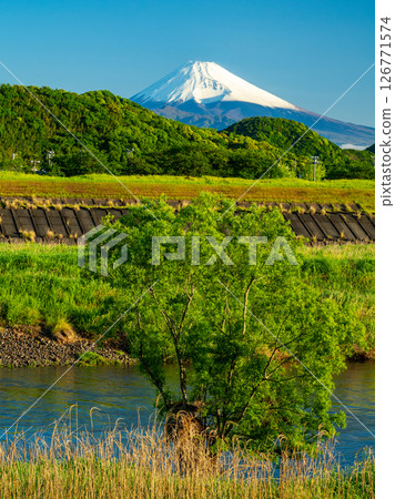 Fresh greenery and Mt. Fuji from the Kano River Fresh greenery and Mt. Fuji from the Kano River 126771574
