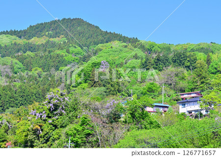 Houses built on steep slopes in the countryside surrounded by fresh greenery, the village of Hanamomo in Higashichichibu Village Houses built on steep slopes in the countryside surrounded by fresh greenery, the village of Hanamomo in Higashichichibu Village 126771657