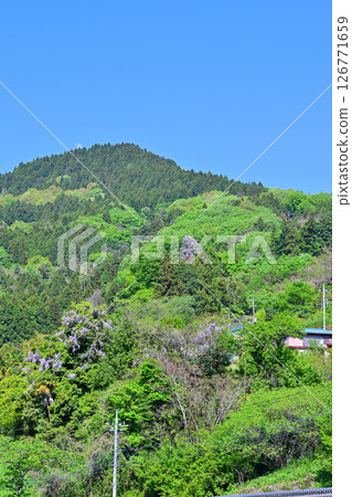 Houses built on steep slopes in the countryside surrounded by fresh greenery, the village of Hanamomo in Higashichichibu Village Houses built on steep slopes in the countryside surrounded by fresh greenery, the village of Hanamomo in Higashichichibu Village 126771659
