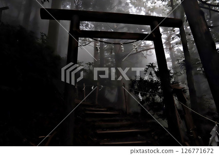 Tamaki Shrine shrouded in mist, Totsukawa Village, Yoshino County, Nara Prefecture Tamaki Shrine shrouded in mist, Totsukawa Village, Yoshino County, Nara Prefecture 126771672