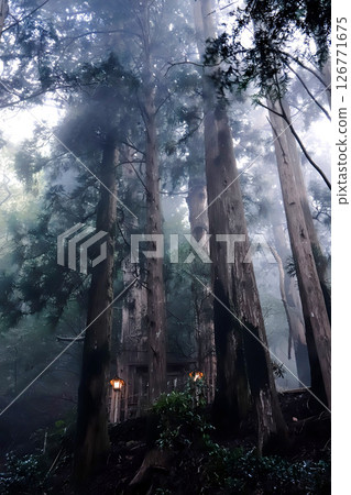 The sacred grounds of Tamaki Shrine, Totsukawa Village, Yoshino County, Nara Prefecture 126771675