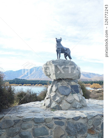 Travel to New Zealand, Sheepdog statue on Lake Tekapo 126772243