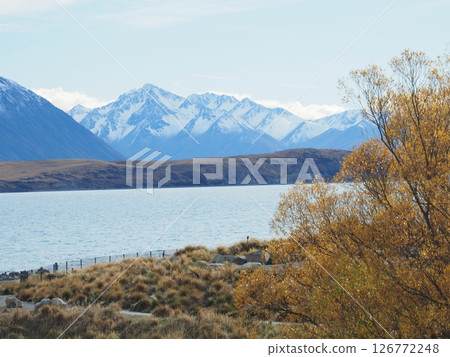 紐西蘭之旅，蒂卡波湖 126772248