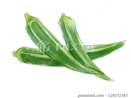 Freshly picked and delicious looking okra watercolor illustration 126772367