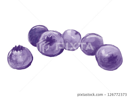 新鮮採摘、看起來美味的藍莓水彩畫 新鮮採摘、看起來美味的藍莓水彩畫 126772373