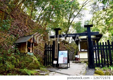 Kyoto City: Kurama Temple West Gate and Fresh Greenery 126772878