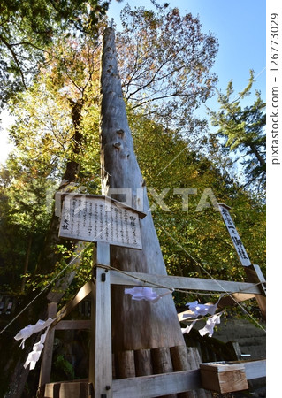 The pillar of Suwa Taisha 126773029